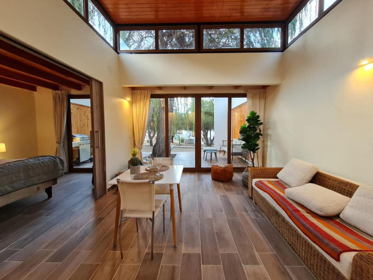 Aldea Del Valle - Elqui Villas, 皮斯科艾齐 外观 照片