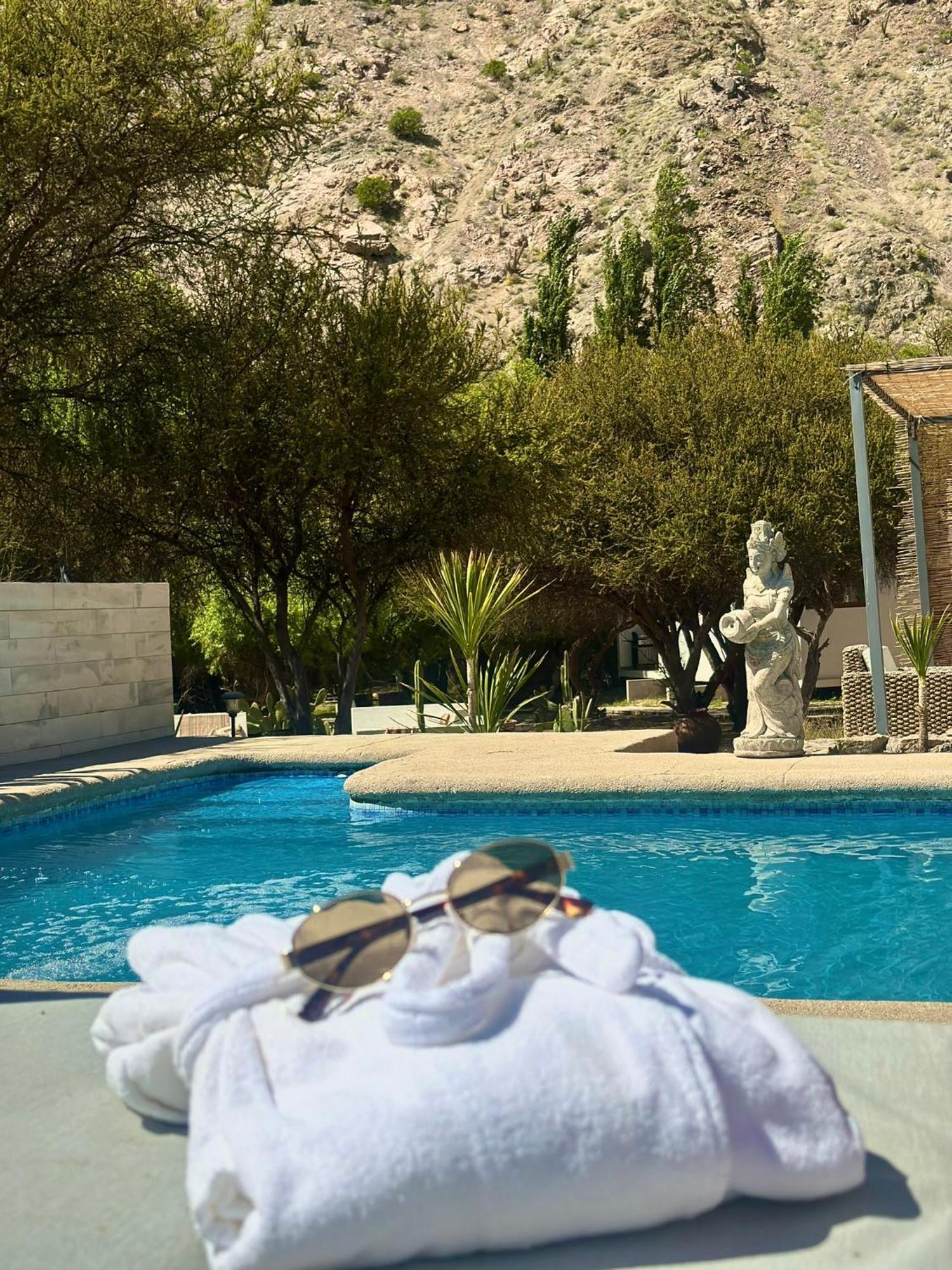 Aldea Del Valle - Elqui Villas, 皮斯科艾齐 外观 照片