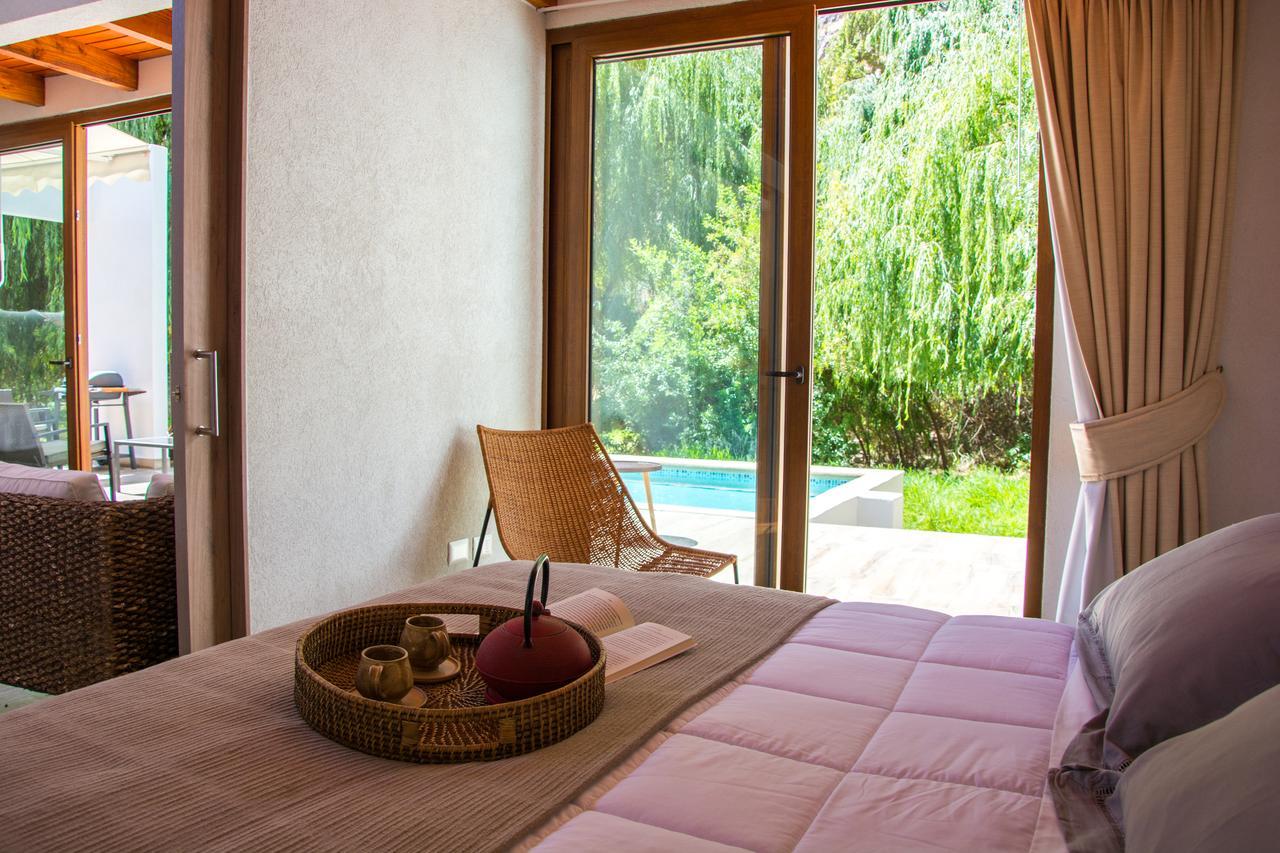 Aldea Del Valle - Elqui Villas, 皮斯科艾齐 外观 照片