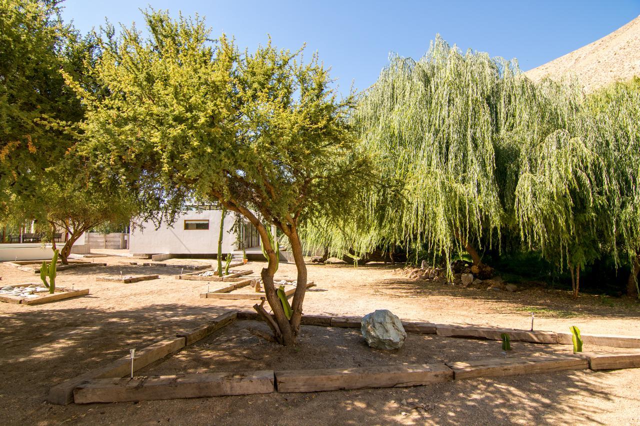 Aldea Del Valle - Elqui Villas, 皮斯科艾齐 外观 照片
