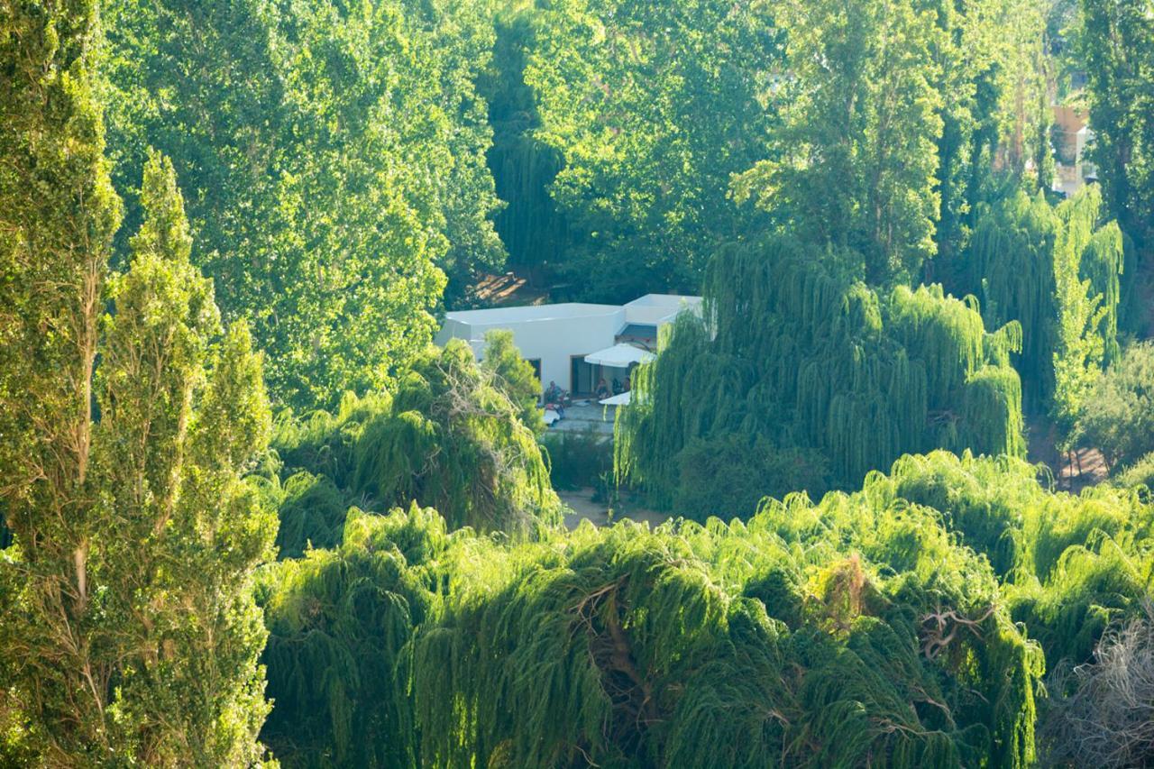 Aldea Del Valle - Elqui Villas, 皮斯科艾齐 外观 照片