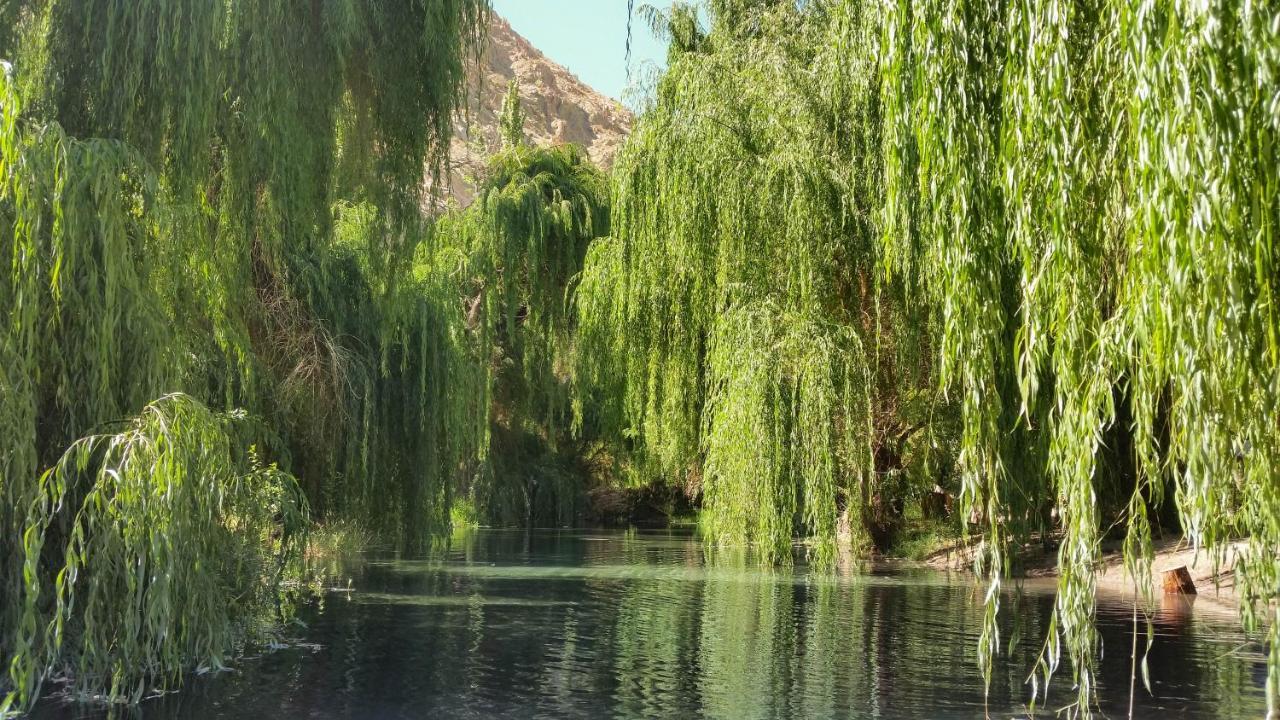 Aldea Del Valle - Elqui Villas, 皮斯科艾齐 外观 照片